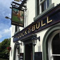 The Cock And Bull