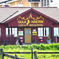 Gula HÄsten