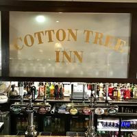 The Cotton Tree