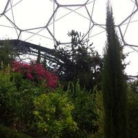 Mediterranean Biome